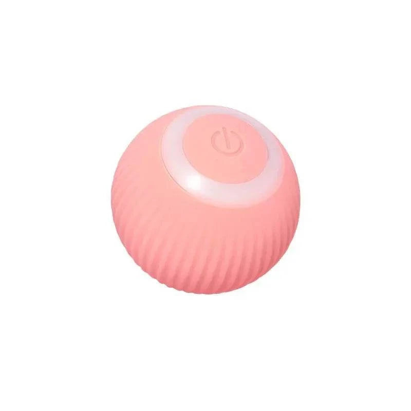 Interactive Cat Toy