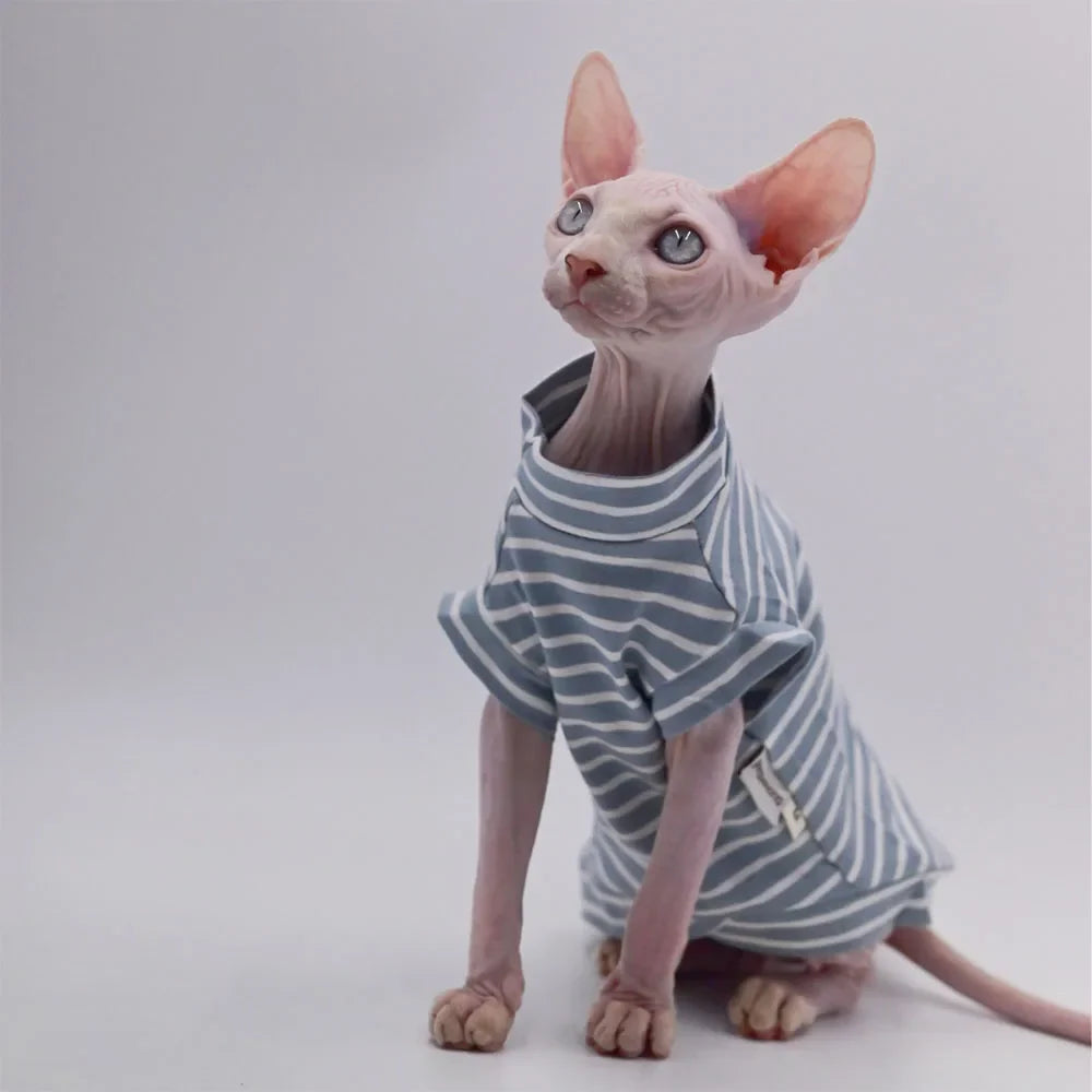 Devon Rex