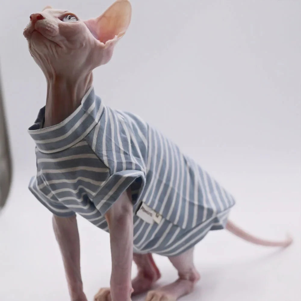 Devon Rex