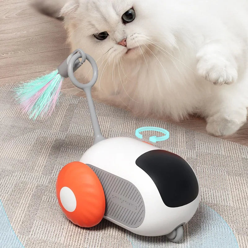 Interactive Cat Toy