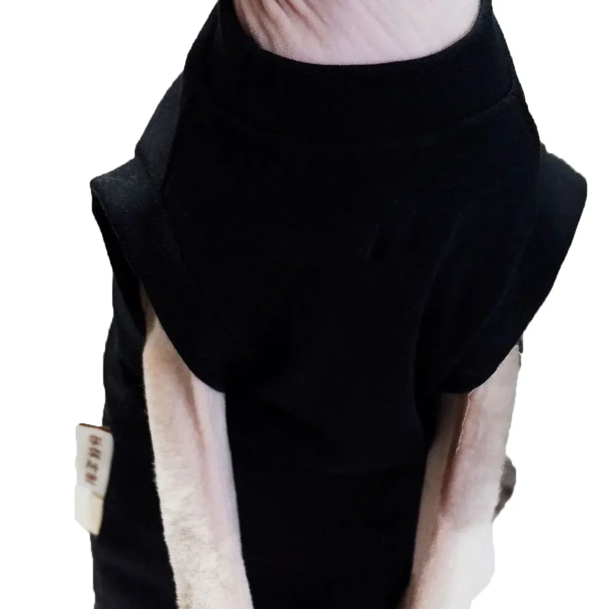 Sphynx Cat Clothes