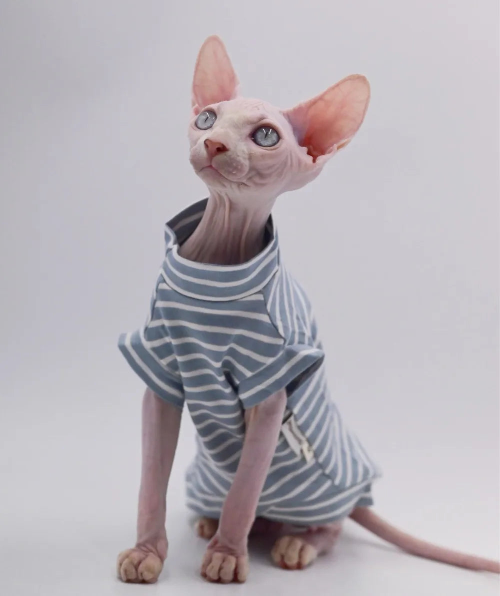Sphynx Cat Clothes