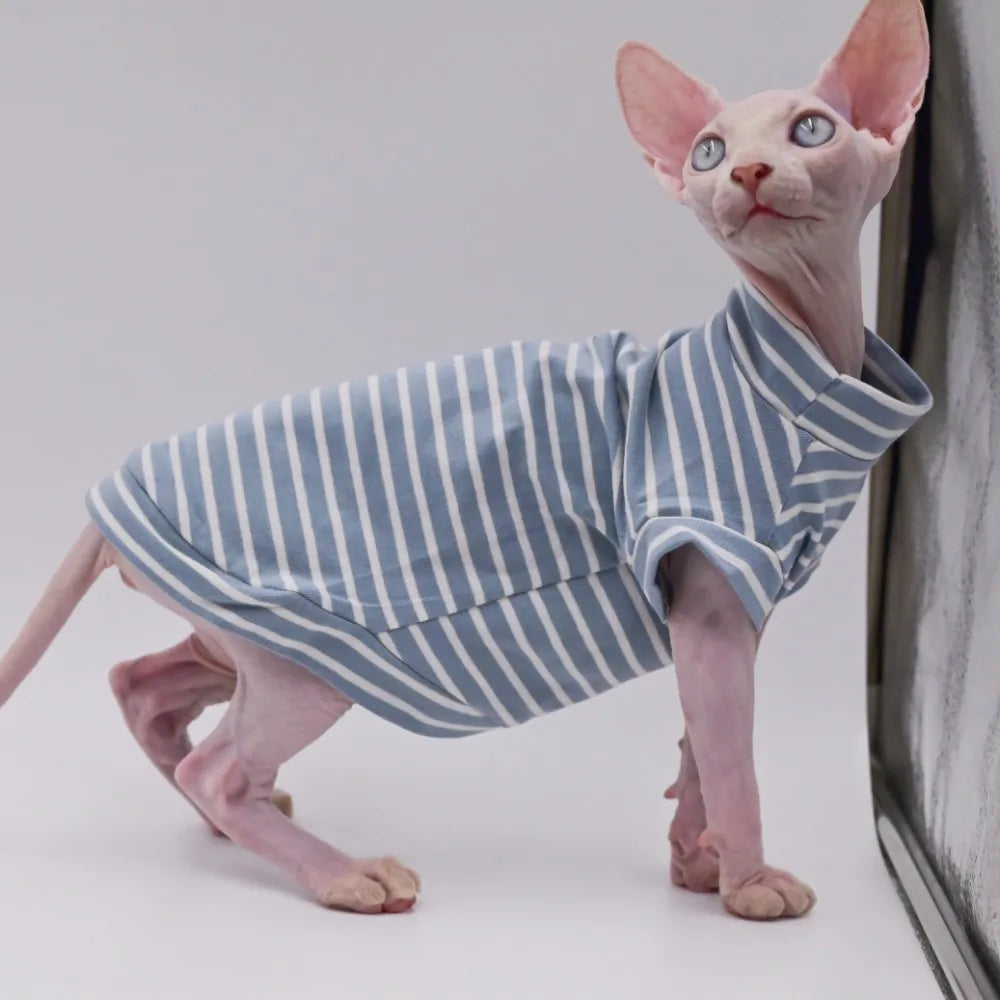 Sphynx Cat Clothes