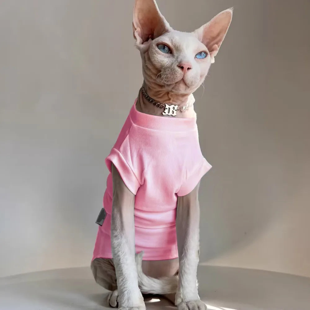 Sphynx Cat Clothes