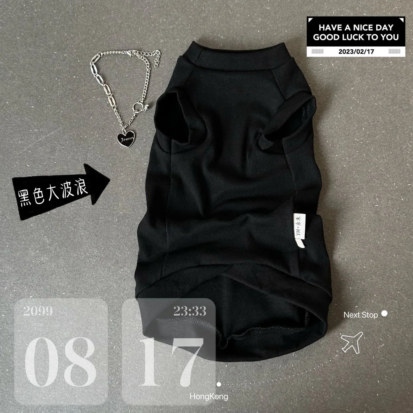 Sphynx Cat Clothes