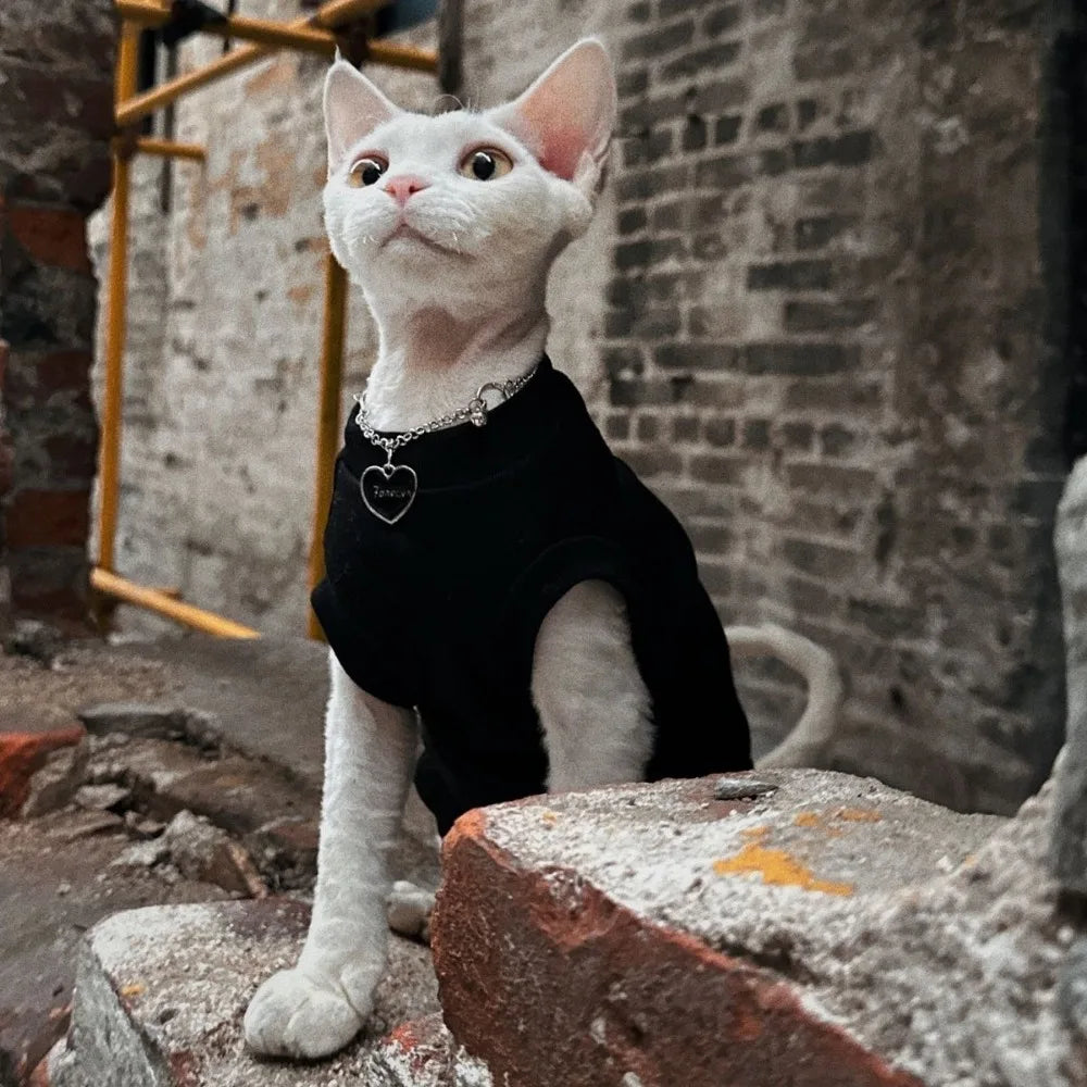 Sphynx Cat Clothes