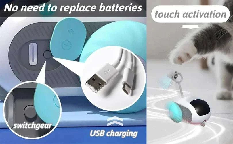 Interactive Cat Toy