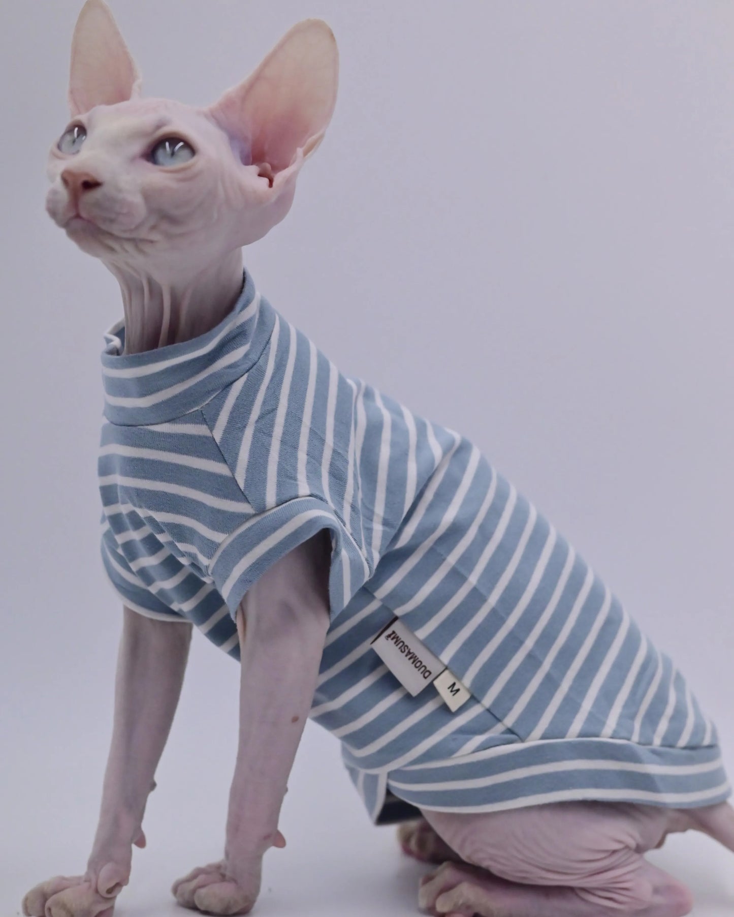 Sphynx Cat Clothes
