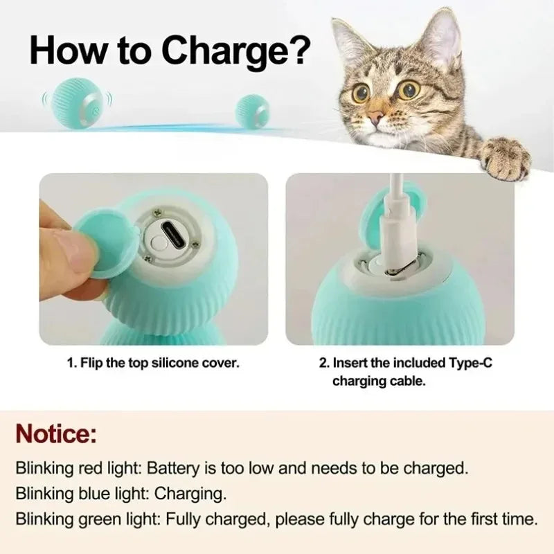 Interactive Cat Toy