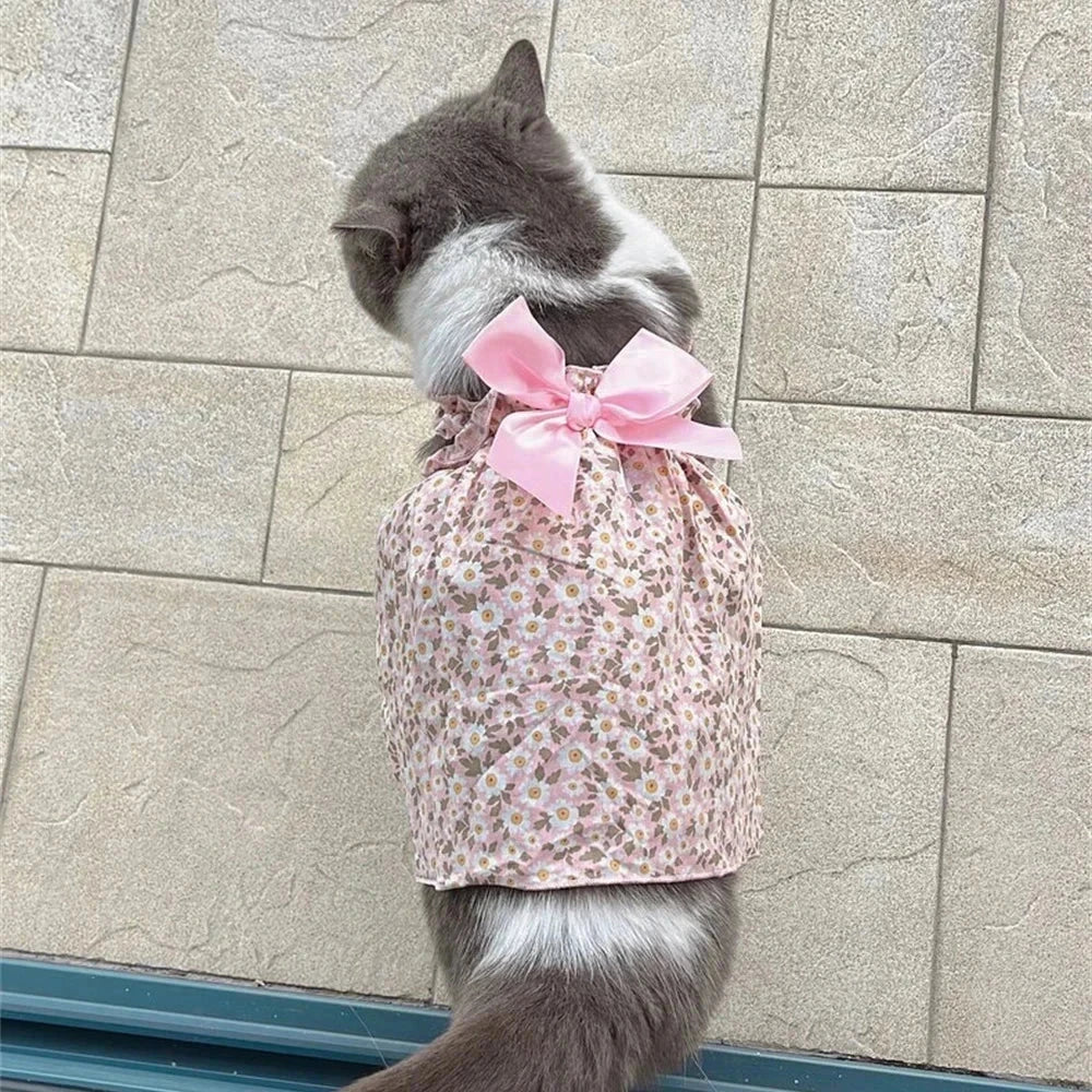 Princess Dresses for Cats