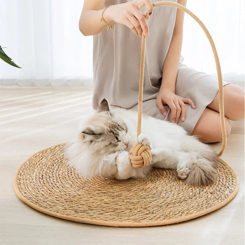 Cat Tree House