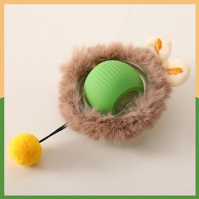 Indoor Cat Toys