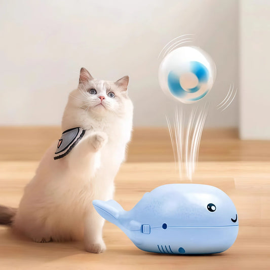 Interactive Cat Toys