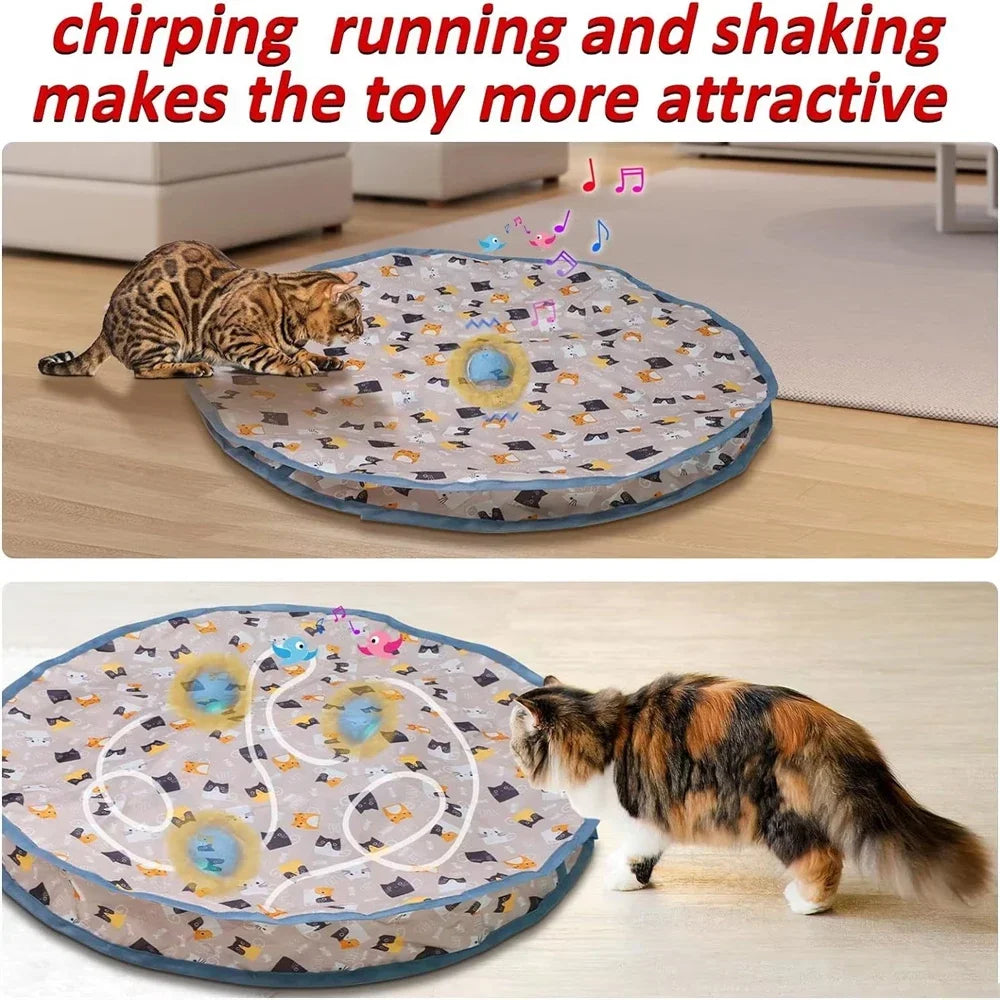 Indoor Cat Toys