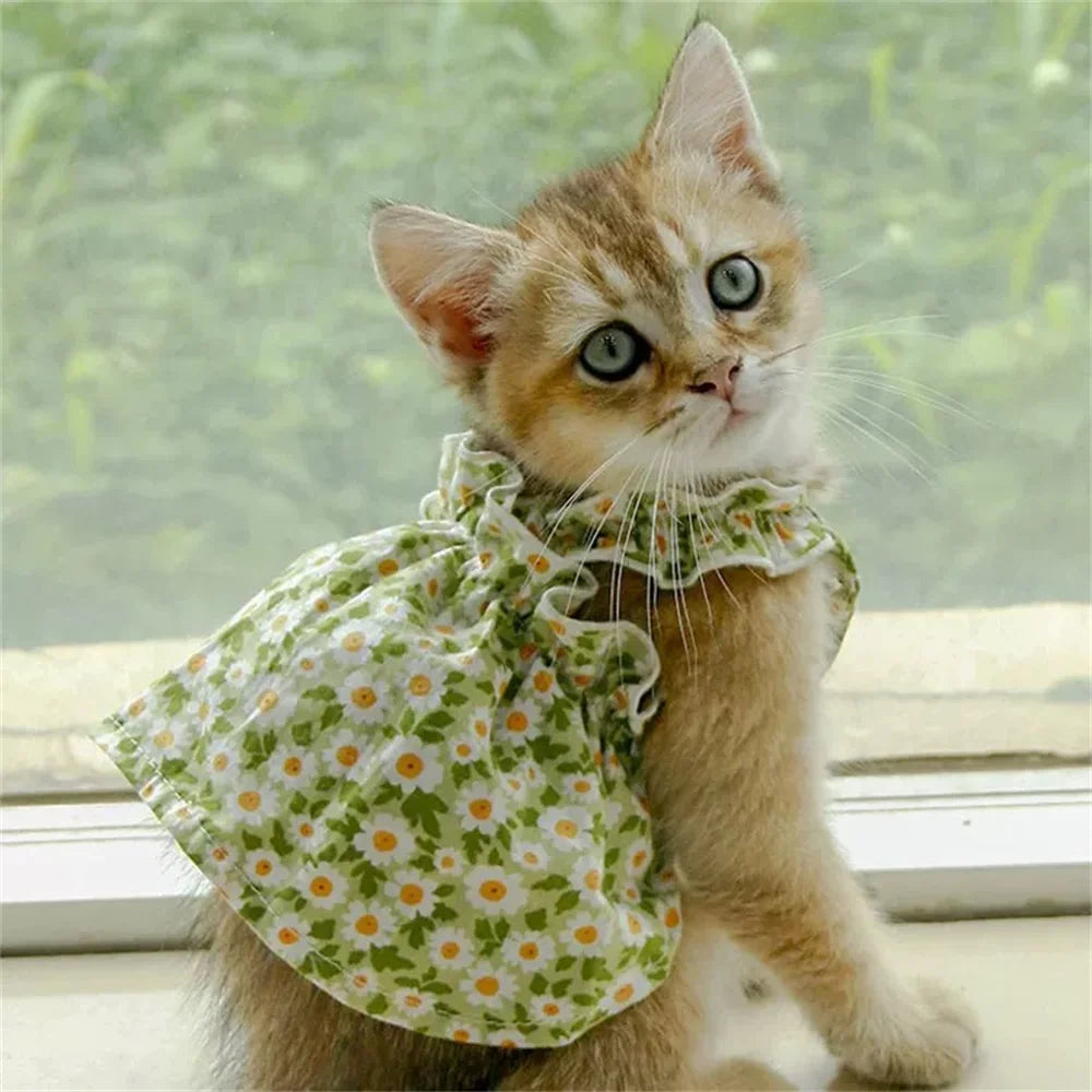 Princess Dresses for Cats