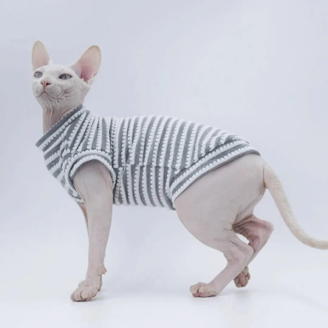 Cute Cat Clothes