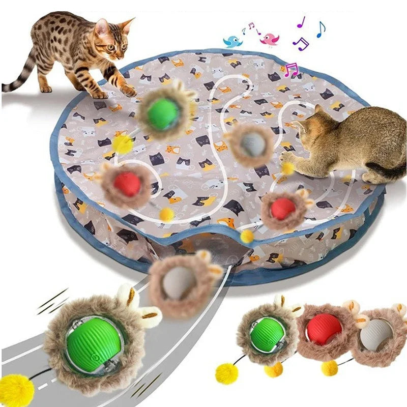Indoor Cat Toys
