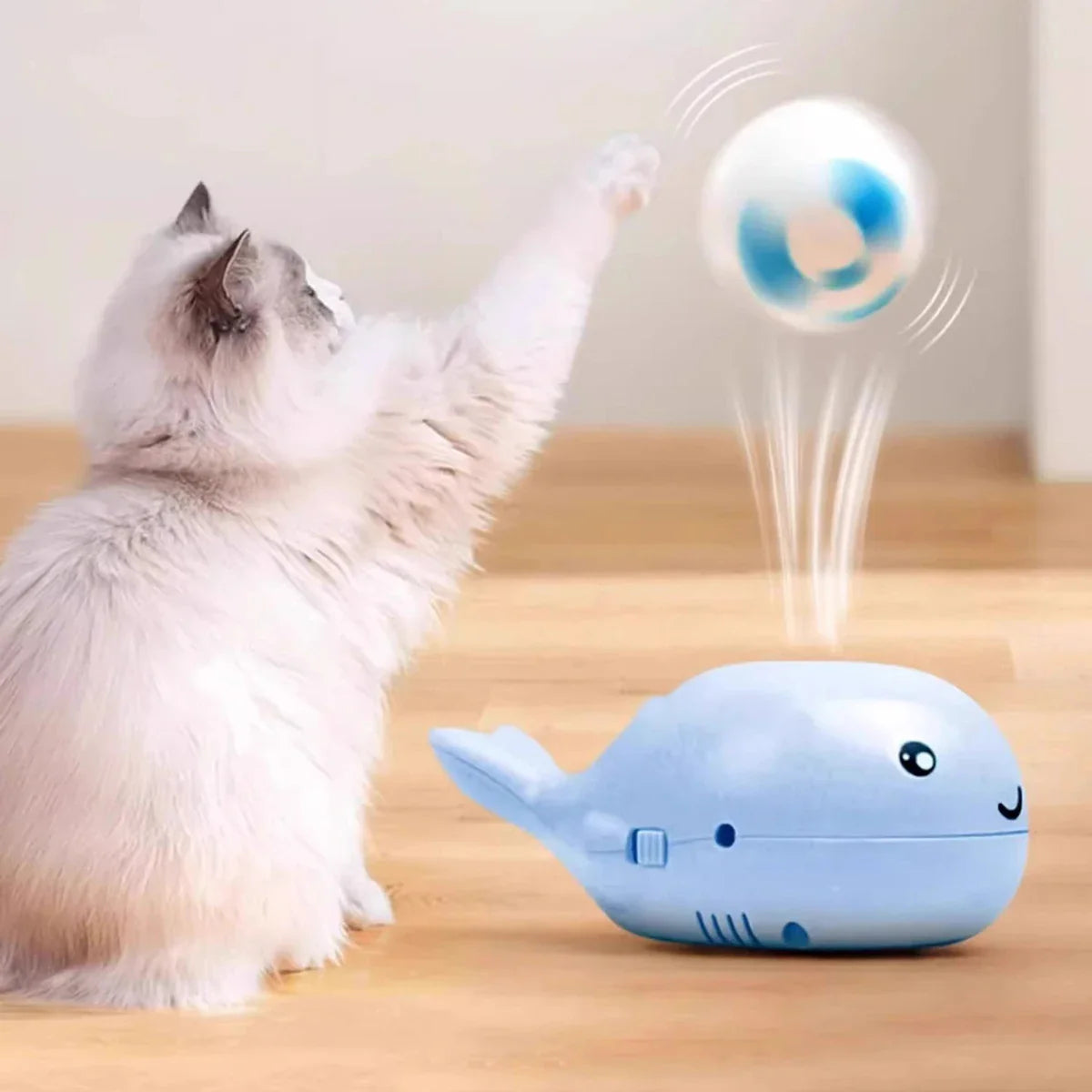 Interactive Cat Toys