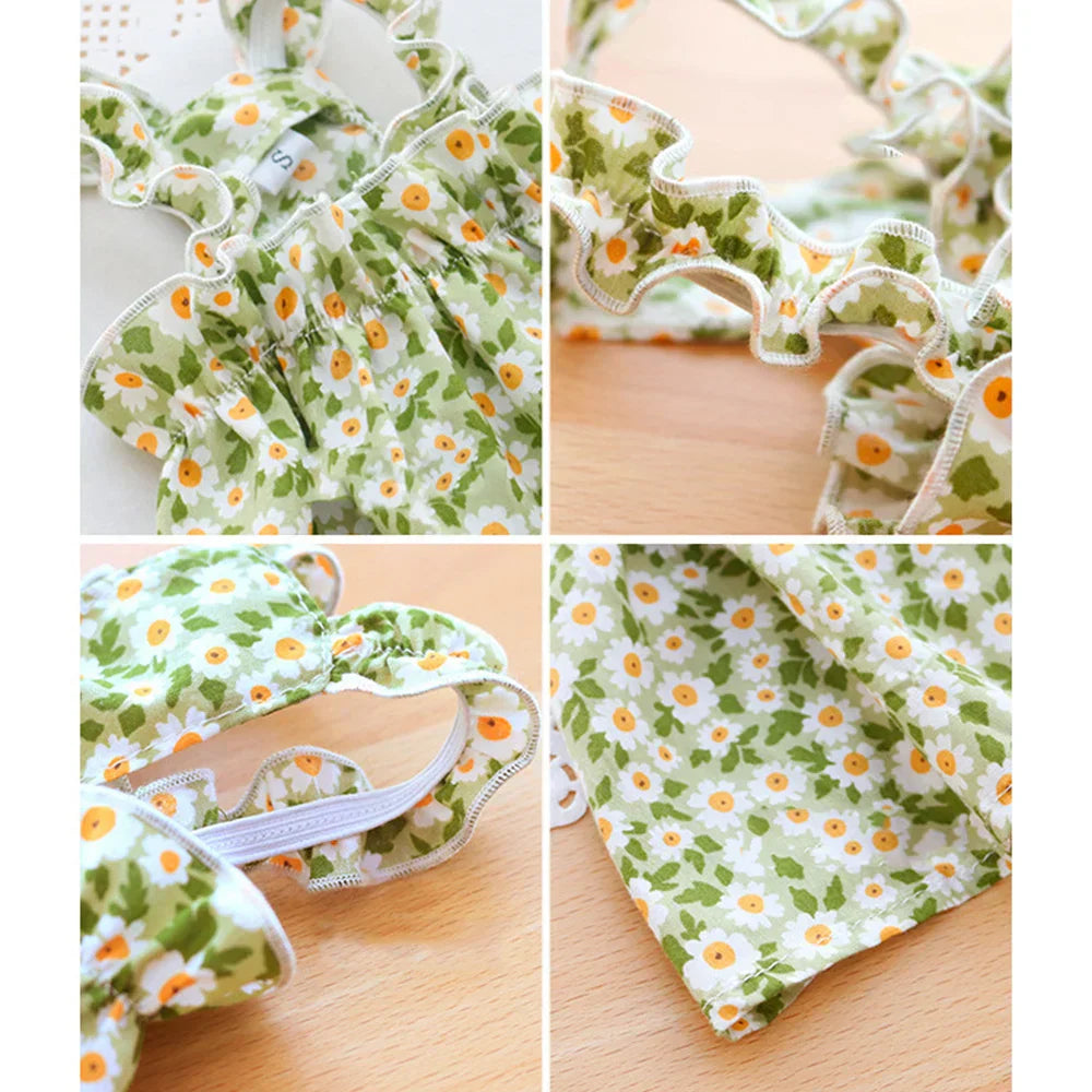 Princess Dresses for Cats