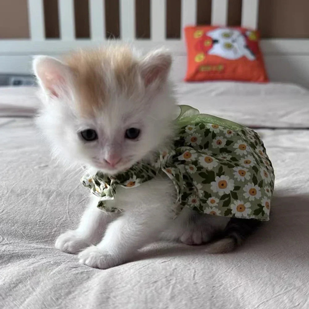 Princess Dresses for Cats