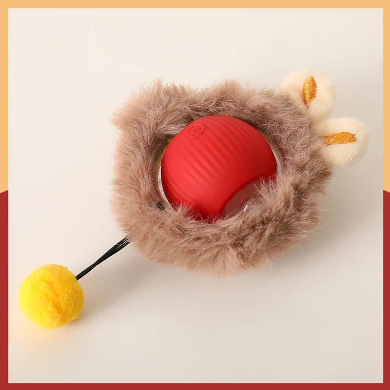 Indoor Cat Toys