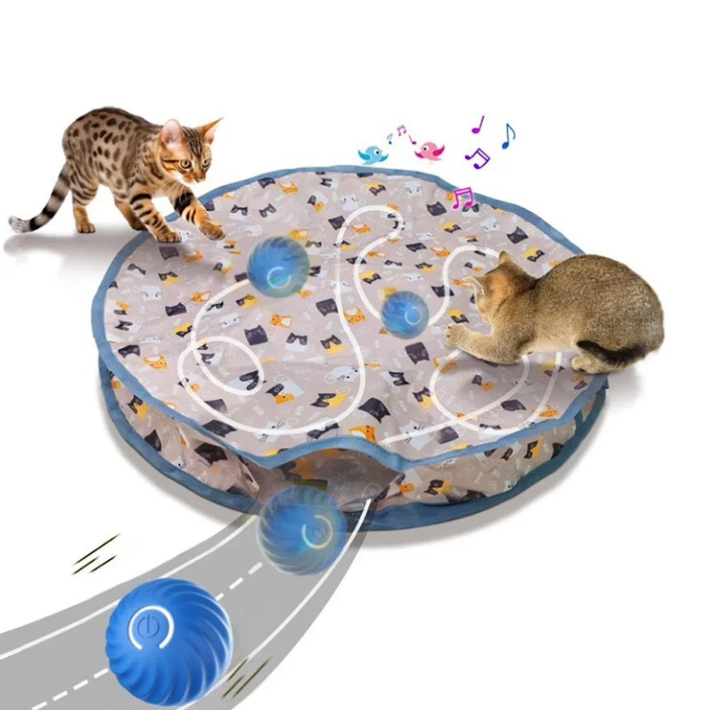 Indoor Cat Toys