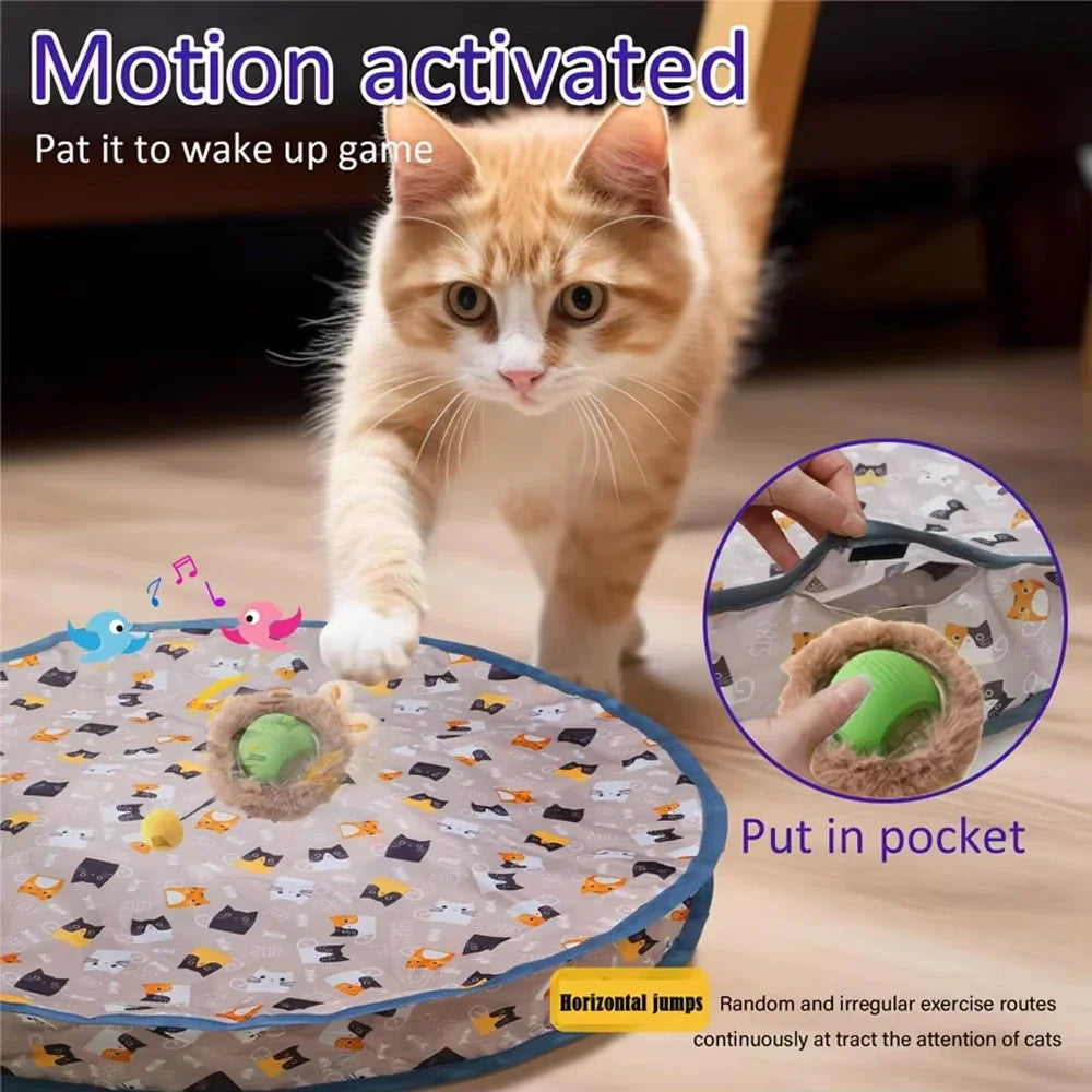 Indoor Cat Toys