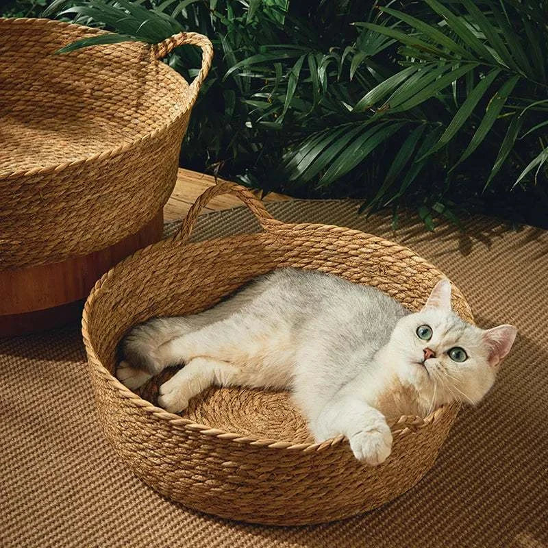 Dog Bed Summer Cool