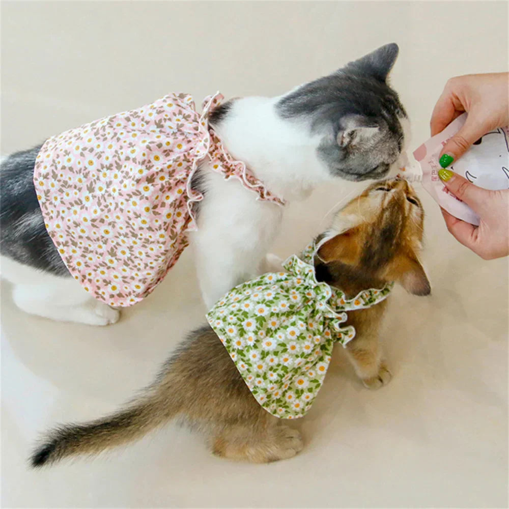 Princess Dresses for Cats