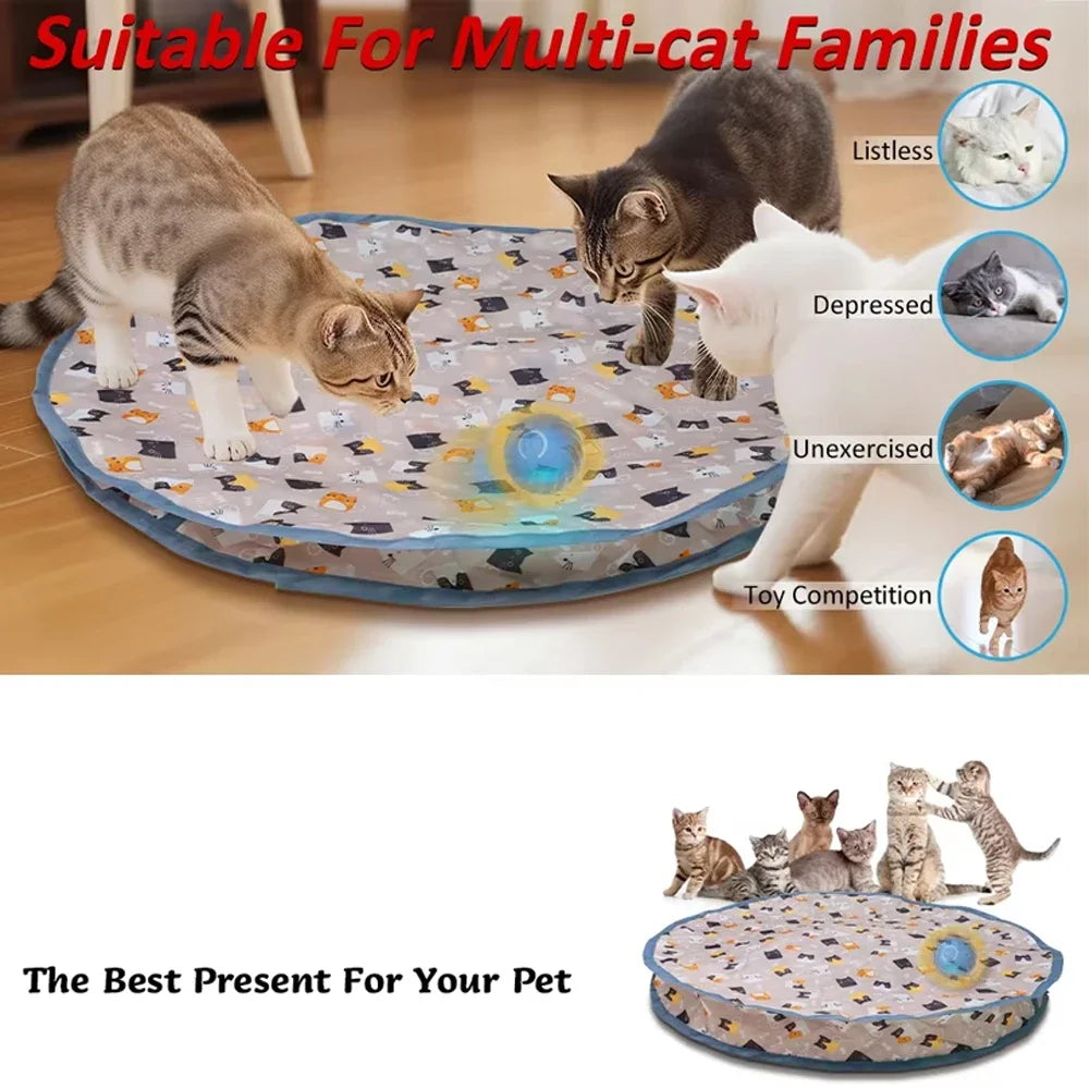 Indoor Cat Toys