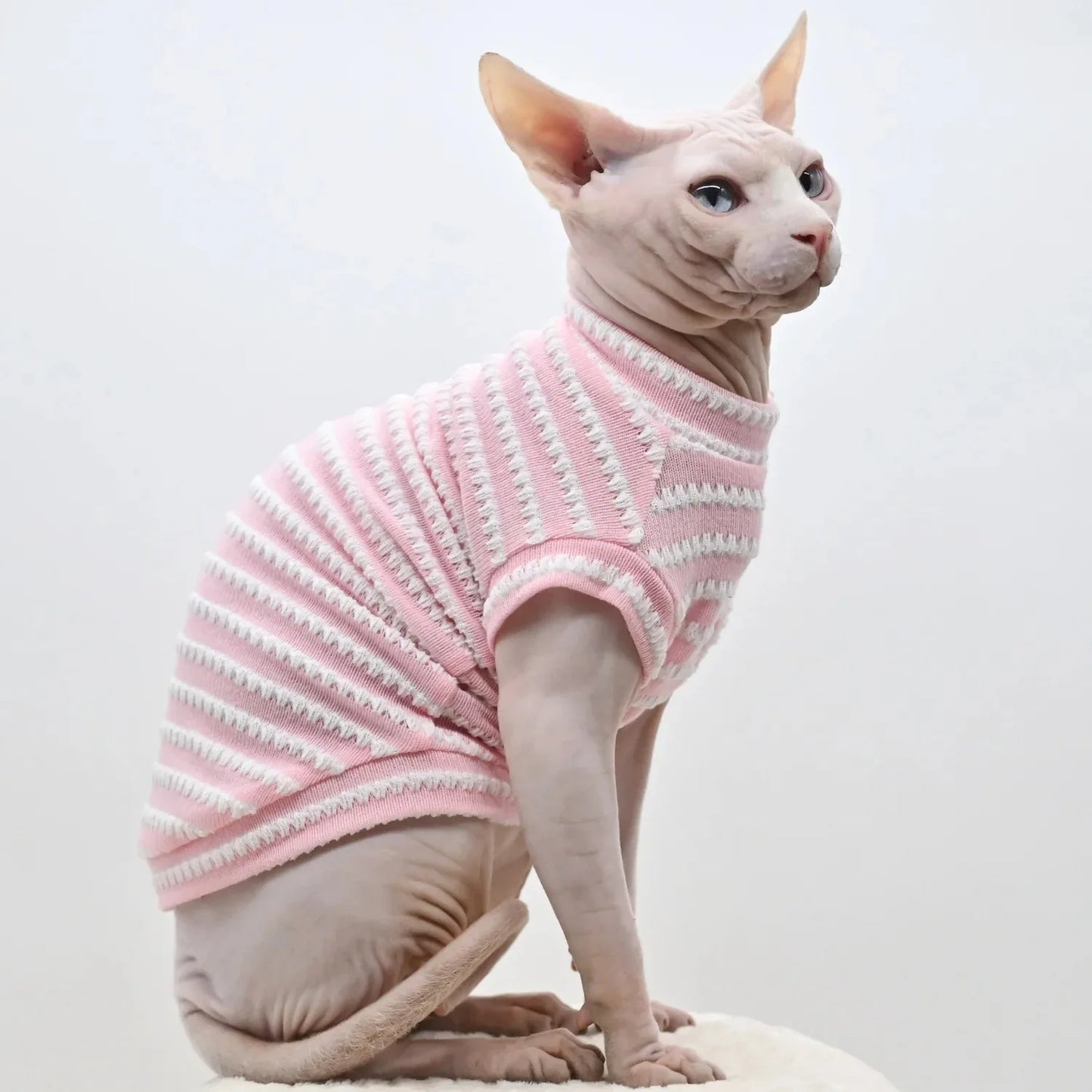Cute Cat Clothes