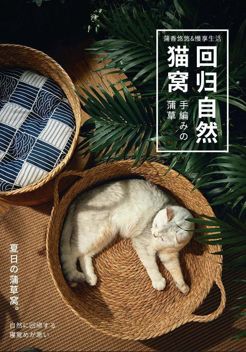 Dog Bed Summer Cool