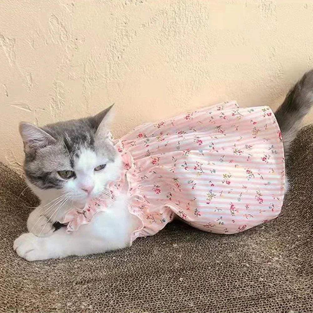 Princess Dresses for Cats