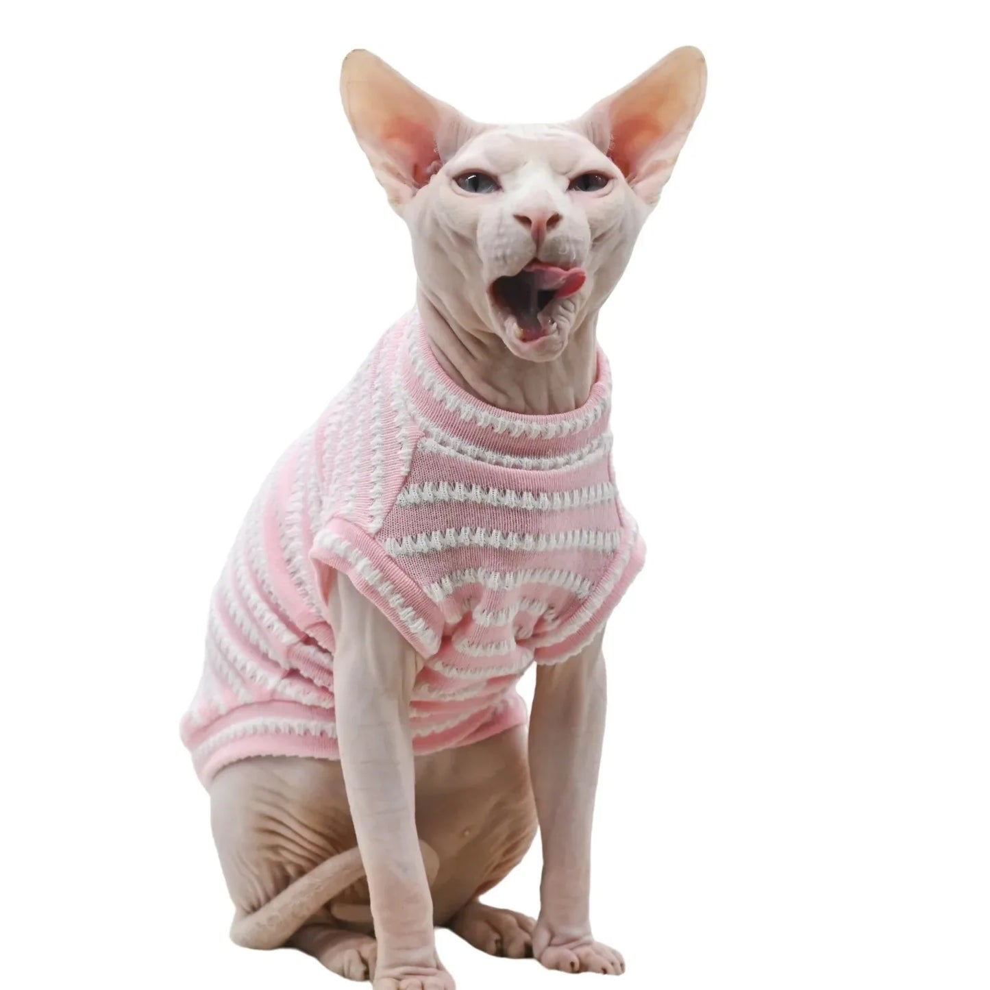 Cute Cat Clothes