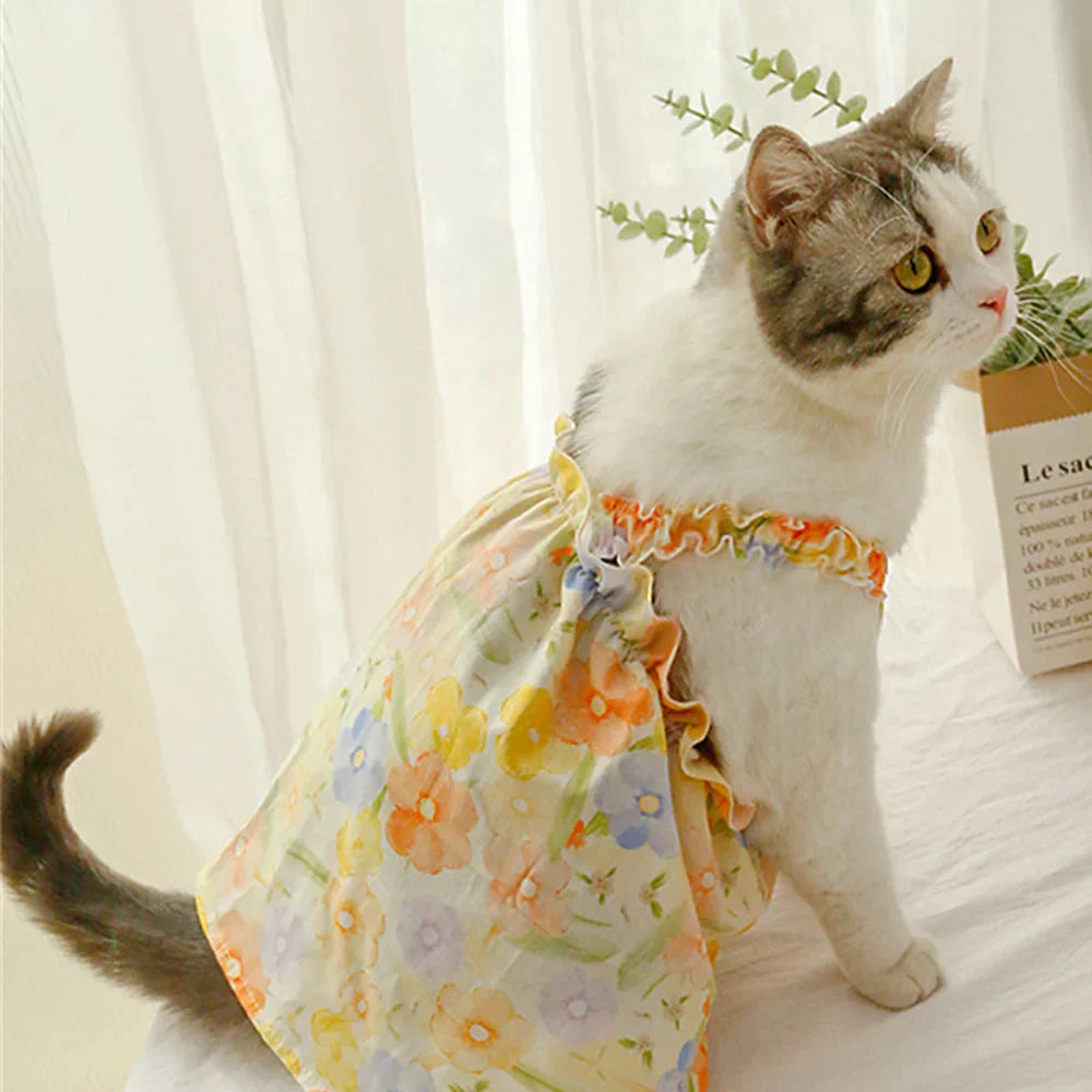 Princess Dresses for Cats