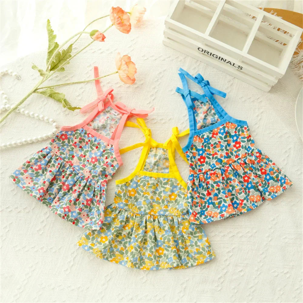 Princess Dresses for Cats