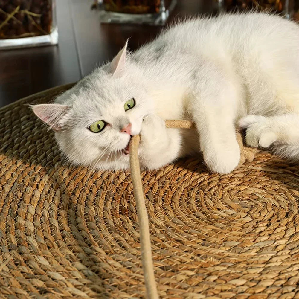 Cat Tree House